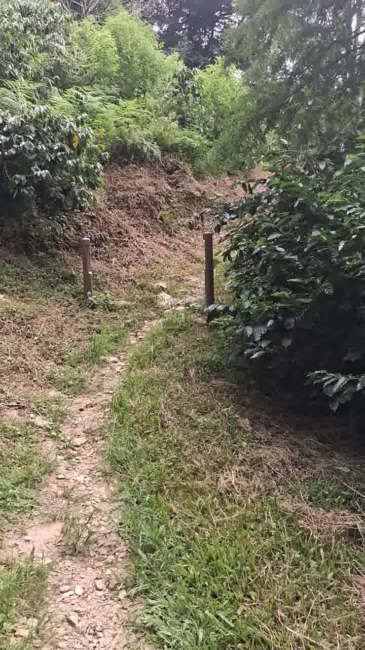 置中圖片
